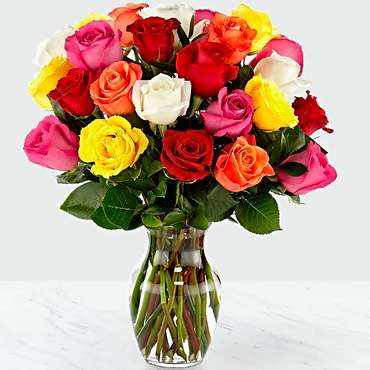 Mixed Roses - VASE INCLUDED