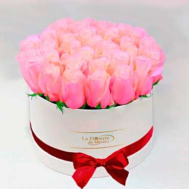 Caja Blanca de Rosas Rosadas 