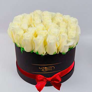 Black Box of White Roses