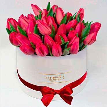 White Box of Tulips