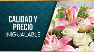 Envio de Flores a Domicilio en Cozumel-Quintana Roo 