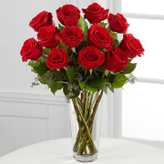 Lluvia de Rosas OFERTA, México, México
